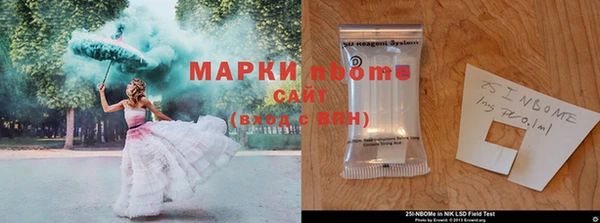 твердый Медногорск