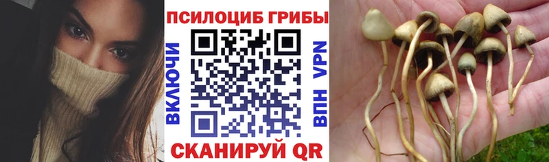 hydra ССЫЛКА  Балаково  Галлюциногенные грибы MAGIC MUSHROOMS 
