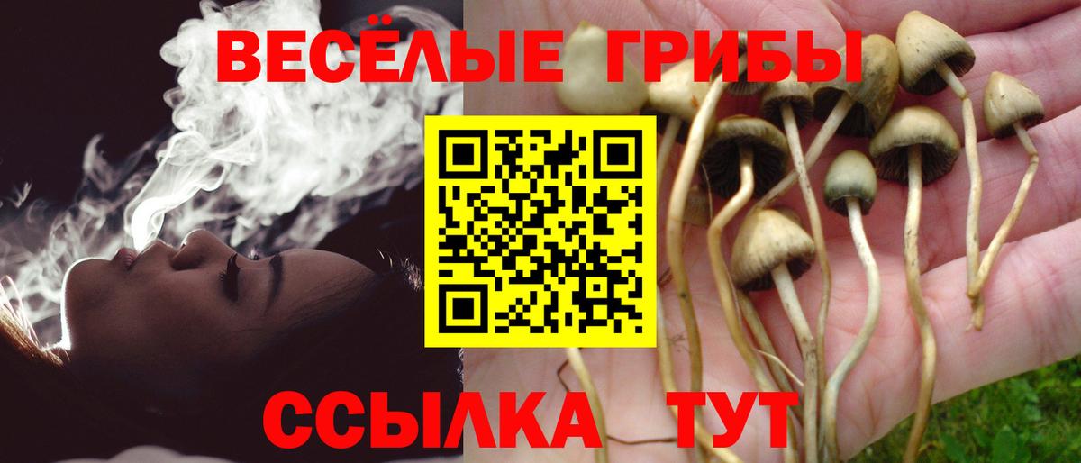 Балаково  Псилоцибиновые грибы Psilocybe  где найти наркотики  Вход с VPN 