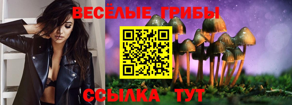Галлюциногенные грибы Psilocybe Балаково